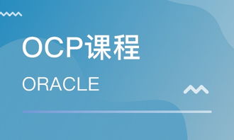 青島Oracle認證培訓(xùn)指南 OCP培訓(xùn)班選擇與排名解析