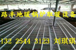 路豐豬舍取暖設備 專為豬舍采暖設計的高效地暖鍋爐，現貨批發選購指南